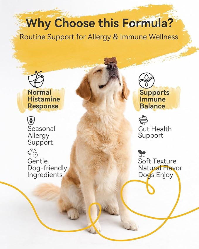 Dog Allergy & Itch Relief Bundle – Immune Support & Skin Comfort for Dogs