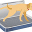 Indoor Dog Potty Tray with High Wall,25.59"X19.69" Pee Pad Holder,Dogs Litter Box