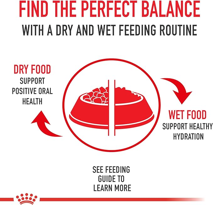 Royal Canin Feline Health Nutrition Sensitive Digestion Adult Dry Cat Food, 7 lb Bag