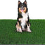 Grass Pad for Dogs 59.1 x 39.4 inches, Strong Absorbency Soft and Real Grass for Pets Potty Training, Easy to Clean Fake Grass for Dog Indoor Outdoor Use (1 Pack)