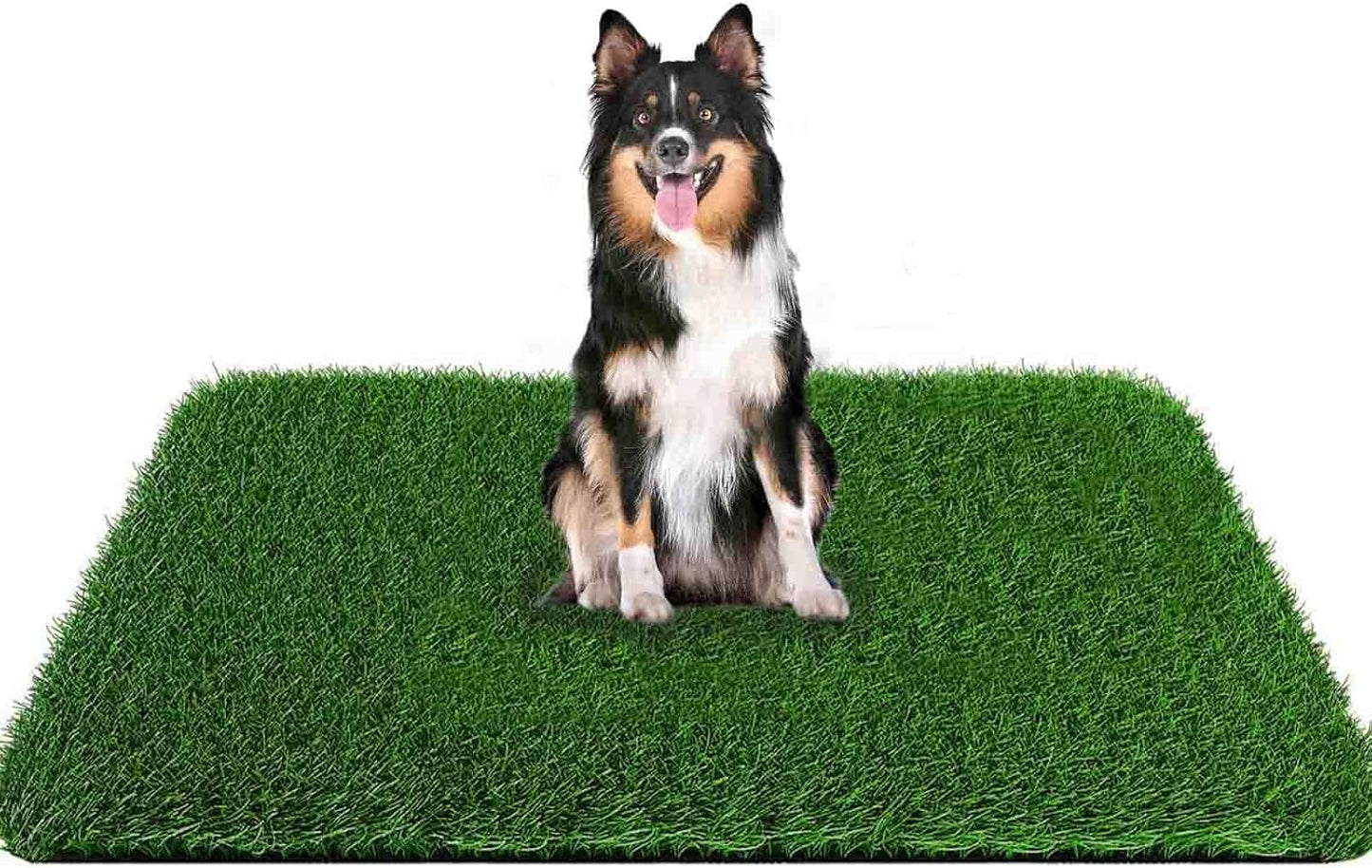 Grass Pad for Dogs 59.1 x 39.4 inches, Strong Absorbency Soft and Real Grass for Pets Potty Training, Easy to Clean Fake Grass for Dog Indoor Outdoor Use (1 Pack)