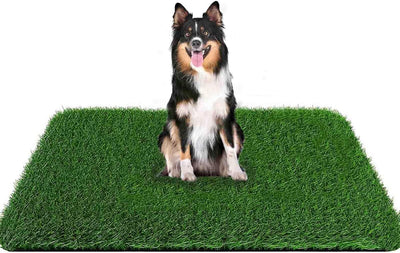 Grass Pad for Dogs 59.1 x 39.4 inches, Strong Absorbency Soft and Real Grass for Pets Potty Training, Easy to Clean Fake Grass for Dog Indoor Outdoor Use (1 Pack)