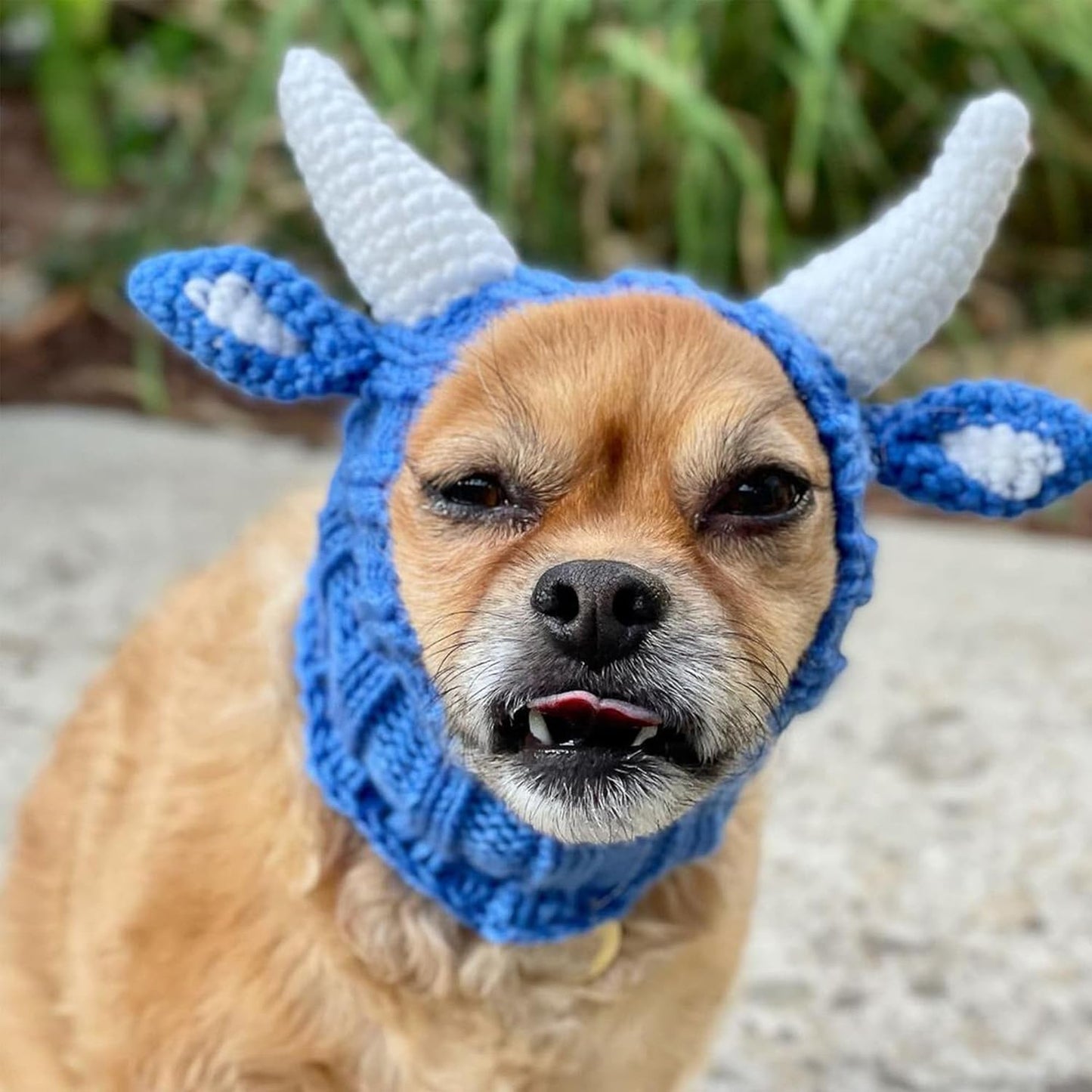 Zoo Snoods Blue Ox Costume - Warm Knit Dog Snood Wrap for Pets, Neck Ear Cover Protection for Halloween Winter (Small)