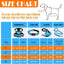 No Pull Dog Harness, Collar & Leash Set with Retractable Dog Seat Belt, Fits Small to Large Dogs(Blue-M)
