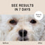 Eye Envy Dog Tear Stain Remover Starter Kit. 100% Natural, Safe. Contains: Stain Solution