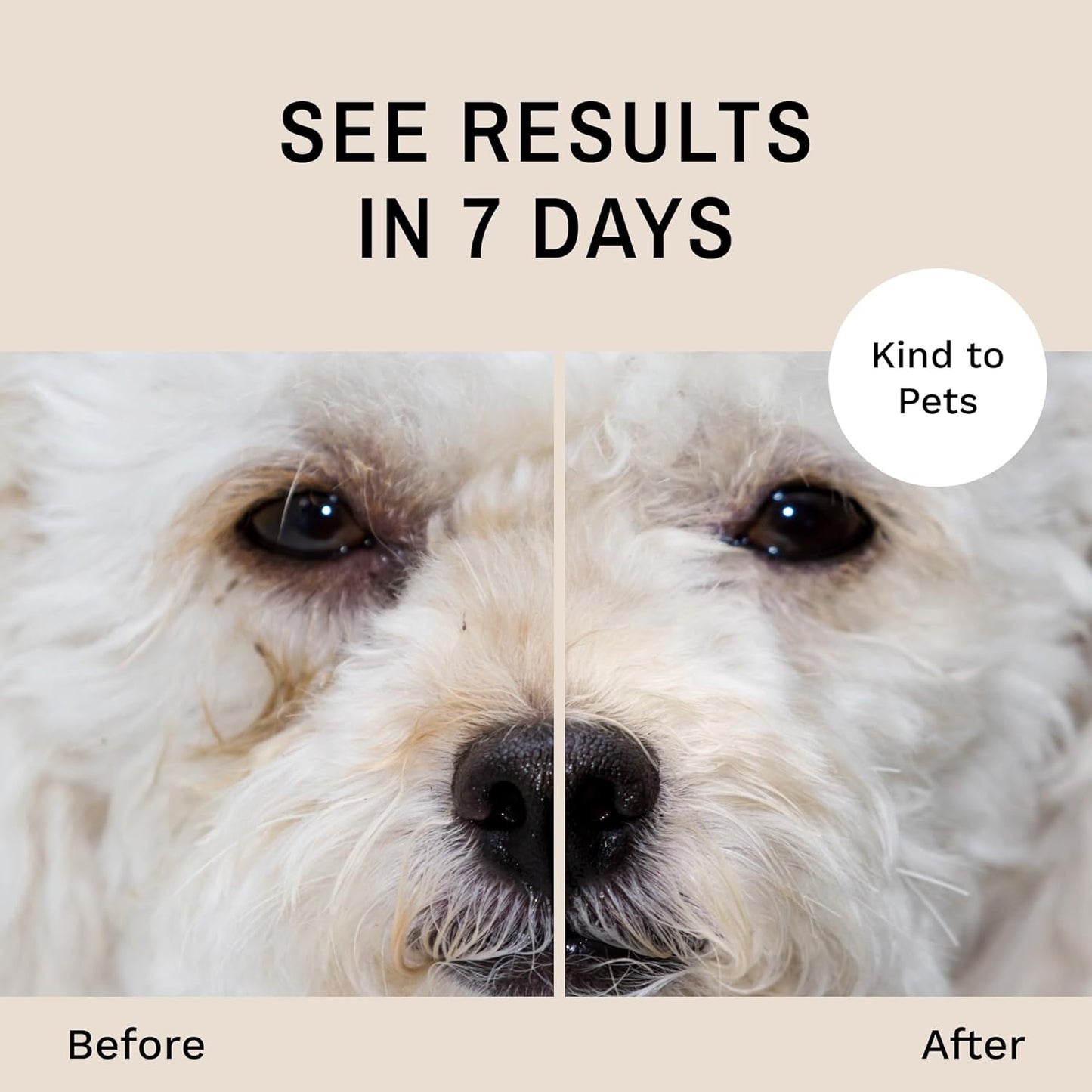 Eye Envy Dog Tear Stain Remover Starter Kit. 100% Natural, Safe. Contains: Stain Solution
