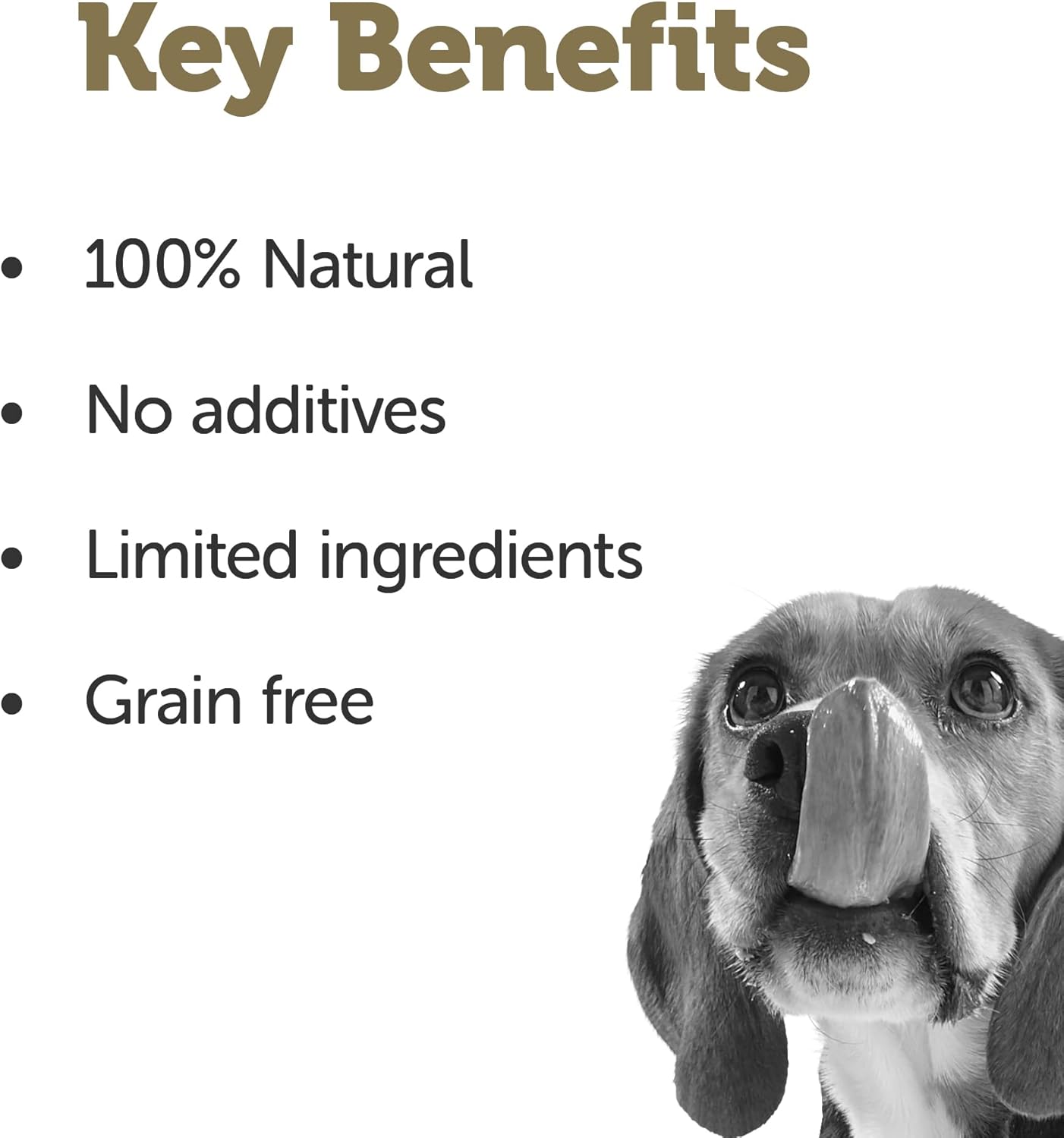 Applaws Taste Toppers, Grain-Free Dog Food Topper, Limited Ingredient, Stew Variety Pack (8 x 5.5oz Cans)