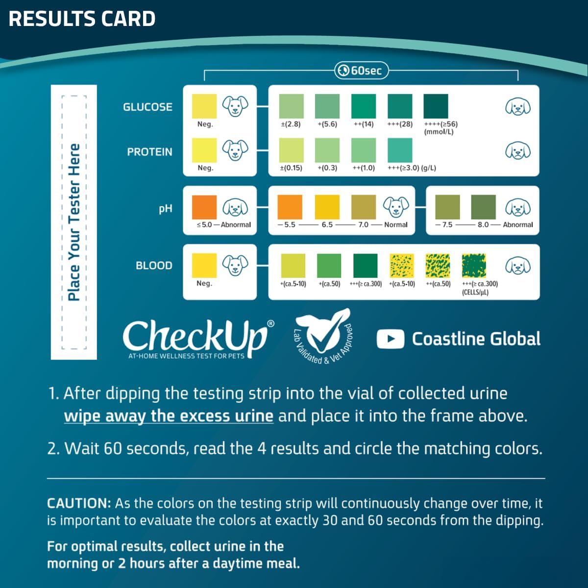 CheckUp Kit at Home Wellness Test for Dogs | Telescopic Pole, Detachable Cup & 2 Test Strips | Detects 4 Most Common Pet Health Indicators - Glucose, Protein, pH and Blood in Urine | 2 Strips