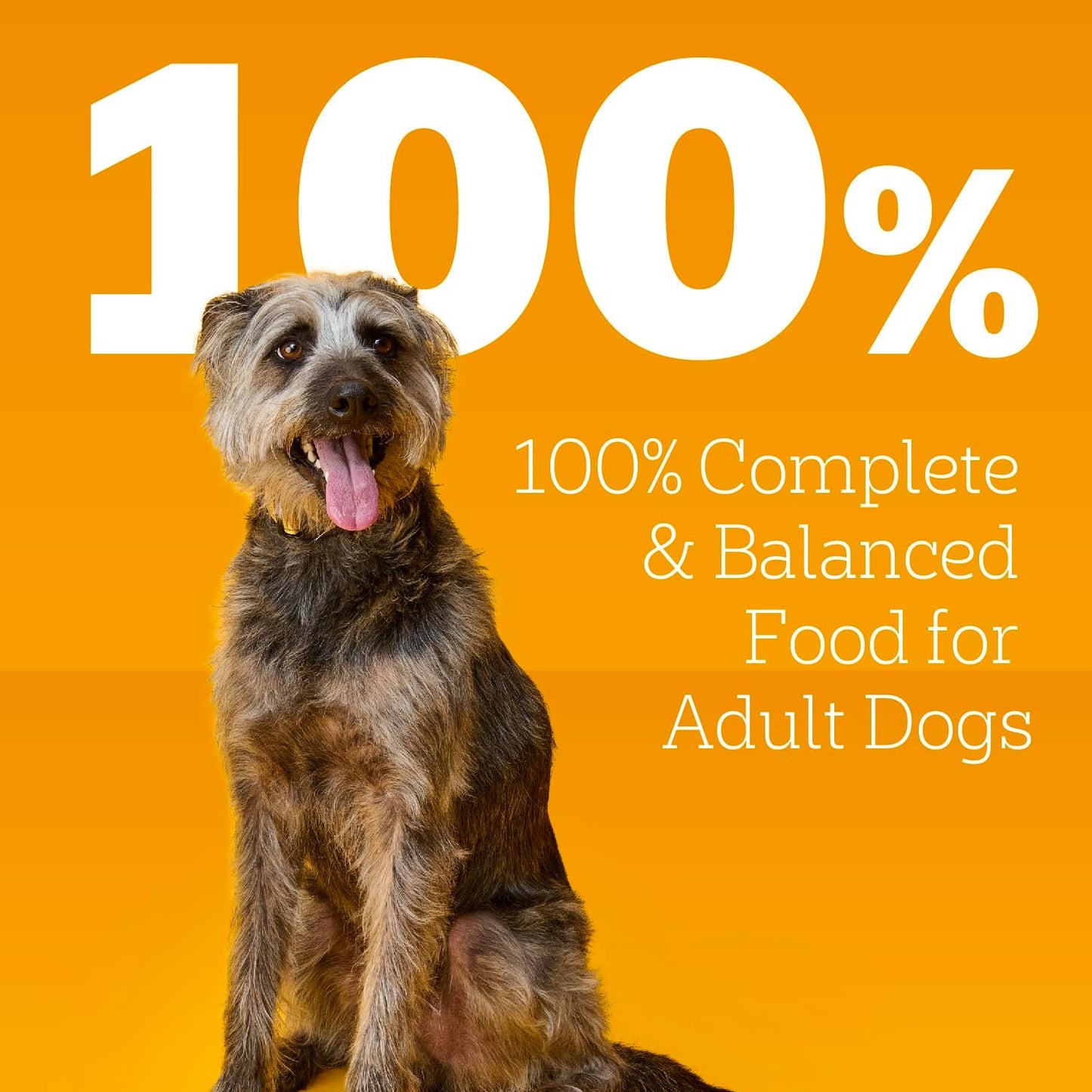 Pedigree Chopped Ground Dinner Wet Dog Food with Hearty Chicken Variety Pack, (8) 3.5 oz. Pouches (Pack of 2)