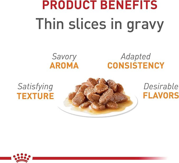 Royal Canin Feline Care Nutrition Hair & Skin Care Adult Thin Slices in Gravy Cat Food, 3 oz (Pack of 24)