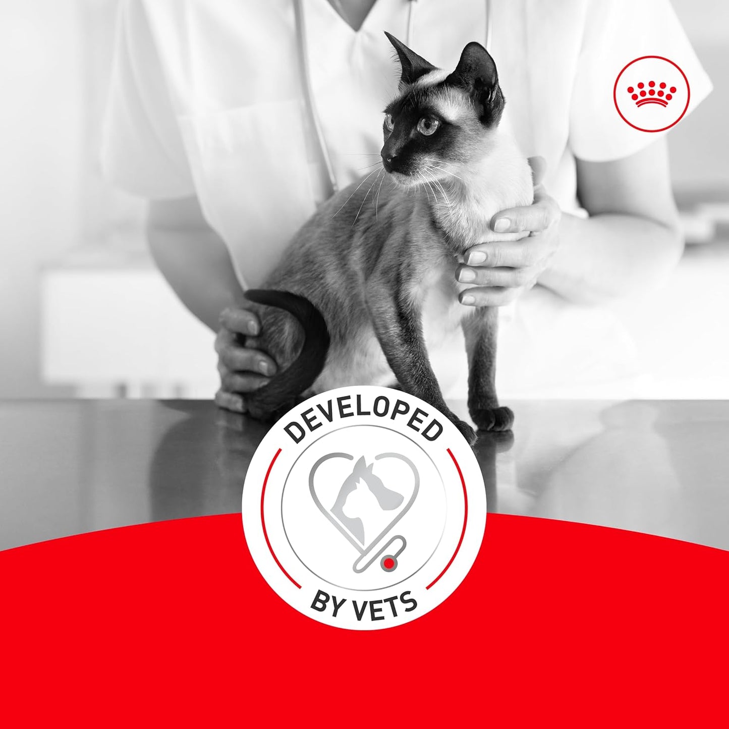 Royal Canin Feline Health Nutrition Aging 11+ Wet Cat Food, for Cats Over 11 Years, Supports Optimal Health & Vitality, 5.1 oz can, case of 24