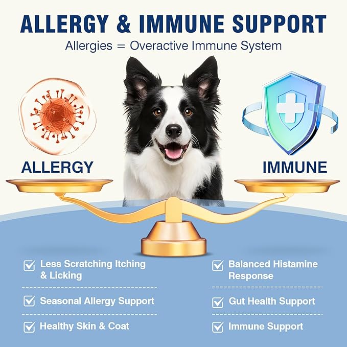 Dog Allergy Chews - Dog Immune Support - Probiotics for Gut Health - Allergies and Itching Skin Support - Itch Relief for Dogs - Seasonal Allergy - Aller Immune Bites for Dogs - 200ct