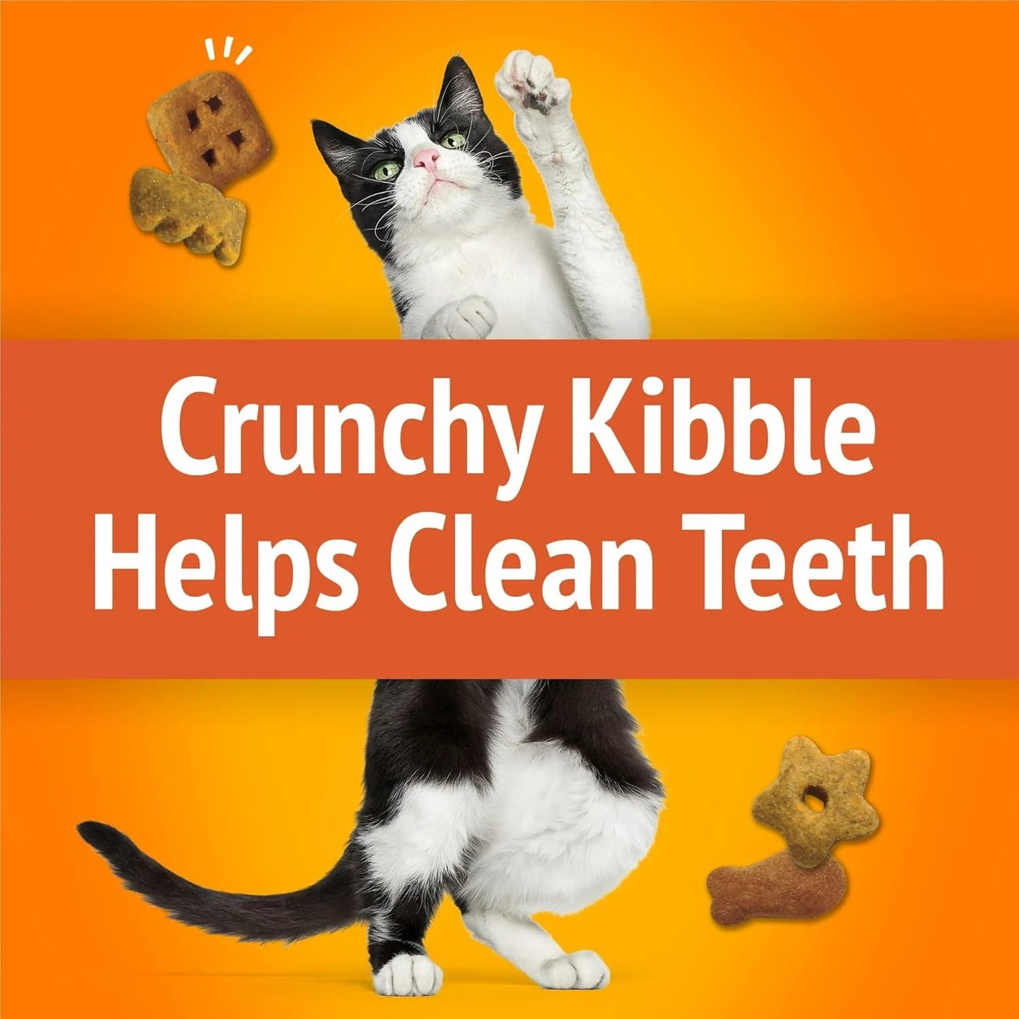 Cat Treats - With Chicken & Flavors of Liver & Turkey - 20 oz (Pack of 2)