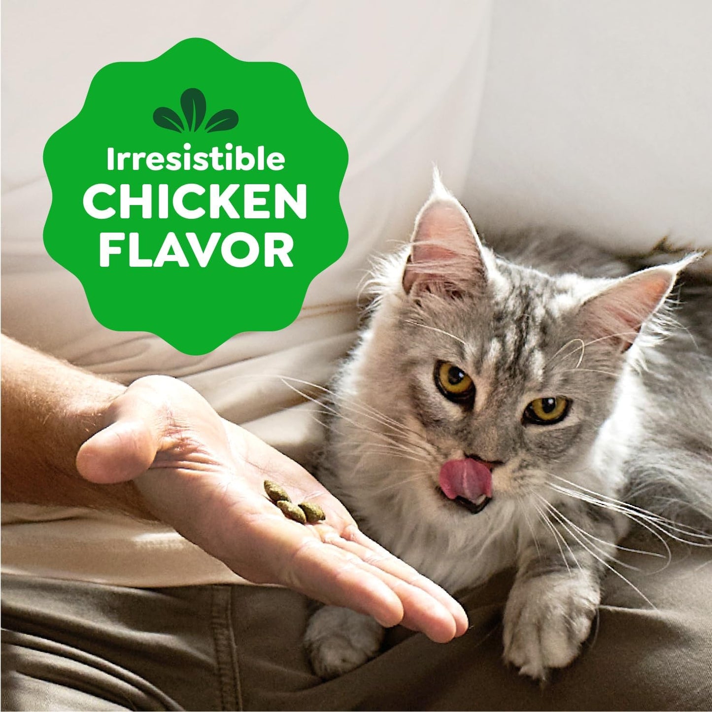 Greenies Feline Smartbites, Cat Treats Healthy Recipe, Indoor Cat Treats, Chicken Flavor, 4.6 oz. Pack