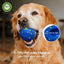 Interactive Dog Toys Balls Moving - Smart Automatic Bouncing Interactive Dog Ball