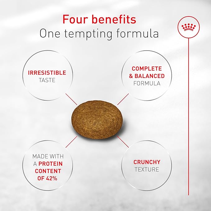 Royal Canin Fussy Dry Cat Food for Adult Cats, Protein-Rich Kibbles for Picky Eaters, Poultry-Based, Supports Healthy Weight and Urinary Health, 7 lb Bag