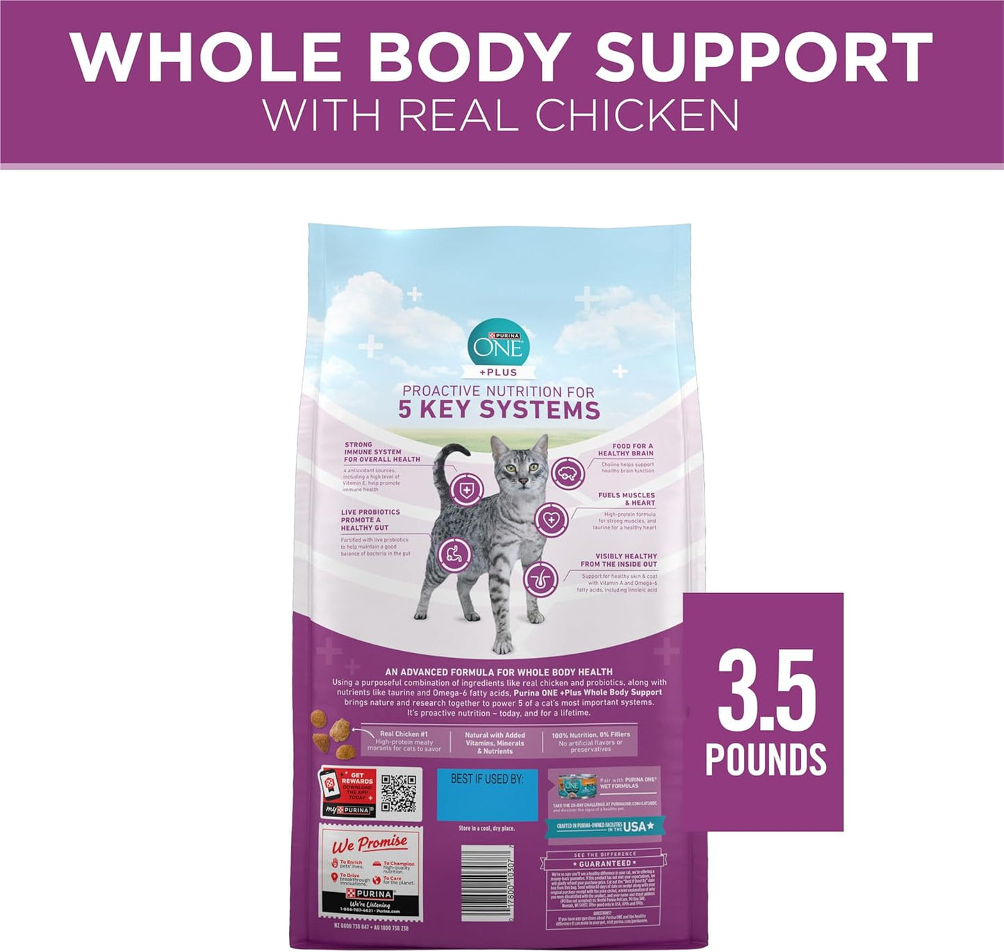 Purina ONE Plus Whole Body Support with Chicken Dry Cat Food - 3.5 lb. Bag