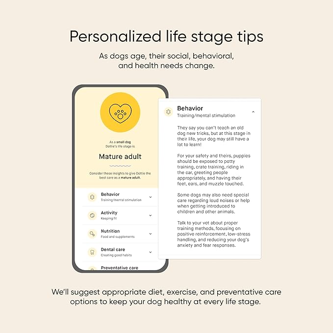 Embark Dog Age Test Kit - Estimates Age and Birthday - DNA Methylation - Best for Dogs Past Puppy Stage - Includes Life Stage Care Tips - Great for Rescue Dogs