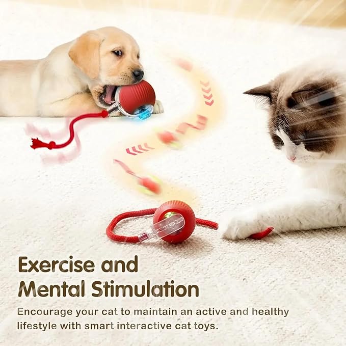 Automatic Cat Ball, RED, LED Lights, Indoors for Active Cats - Rechargeable, Smart Rolling, Speedy Tail/Rope