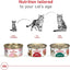 Royal Canin Feline Health Nutrition Adult Instinctive Adult Thin Slices in Gravy Cat Food, 3 oz (Pack of 24)