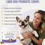 Dog Probiotics Probiotics for Dogs - Digestive Enzymes for Gut Flora, Digestive Health, Diarrhea & Bowel Support