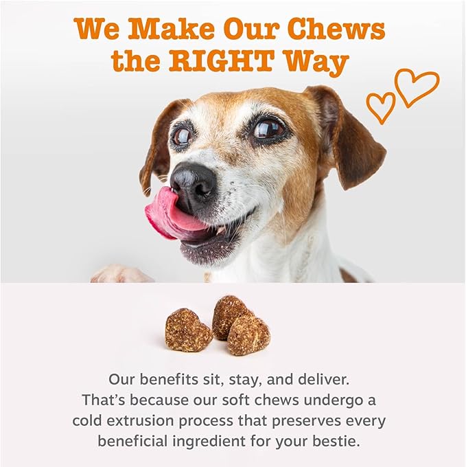 Zesty Paws Probiotics for Dogs - Probiotics for Gut Flora, Digestive Health, Occasional Diarrhea & Bowel Support - Clinically Studied DE111 -90ct