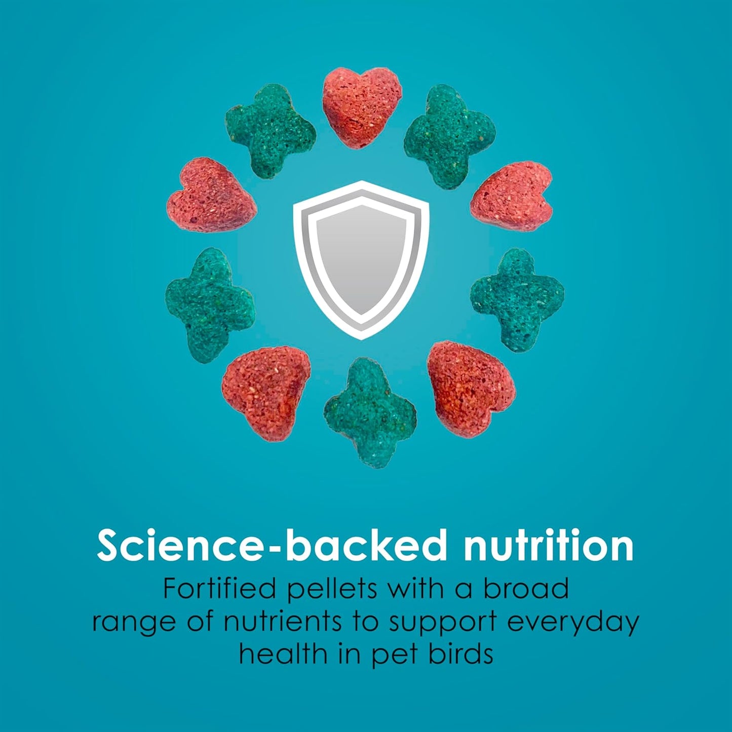 Kaytee Forti-Diet Pro Health Nourish+Protect Conure & Lovebird Food, 4 pounds