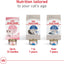 Royal Canin Feline Health Nutrition Indoor Adult Dry Cat Food, 3 lb Bag