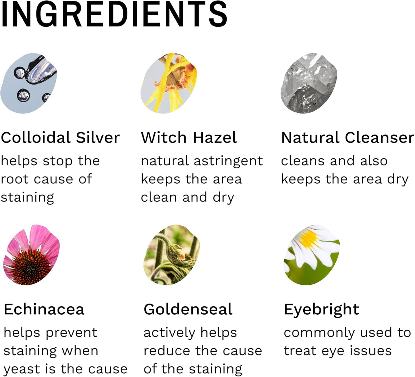 Eye Envy Dog Tear Stain Remover Starter Kit. 100% Natural, Safe. Contains: Stain Solution