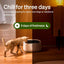 PETLIBRO Automatic Cat Feeder Wet Food with Stainless Steel Bowl, Refrigerated Auto Cat Feeder with Semiconductor Cooling