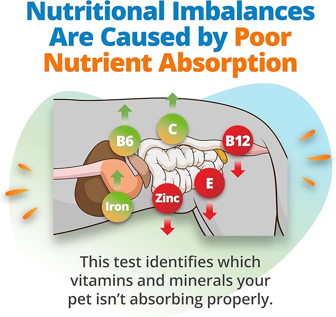 5Strands Pet Nutritional Imbalance Test, 112 Vitamins & Minerals Tested, at Home Dog & Cat Health Check for All Ages & Breeds, Nutrition Deficiency Test, Results in 4 Days