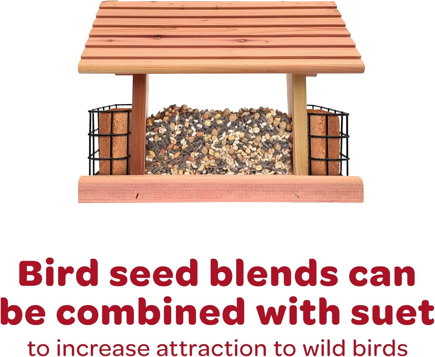 Kaytee Wild Bird Nut & Fruit Seed Treat Bell 6 ounces