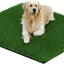 Grass Pad for Dogs 33 x 33 inches, Strong Absorbency Soft and Realistic Grass for Pets Potty Training, Easy to Clean, Indoor Outdoor Use (1 Pack)