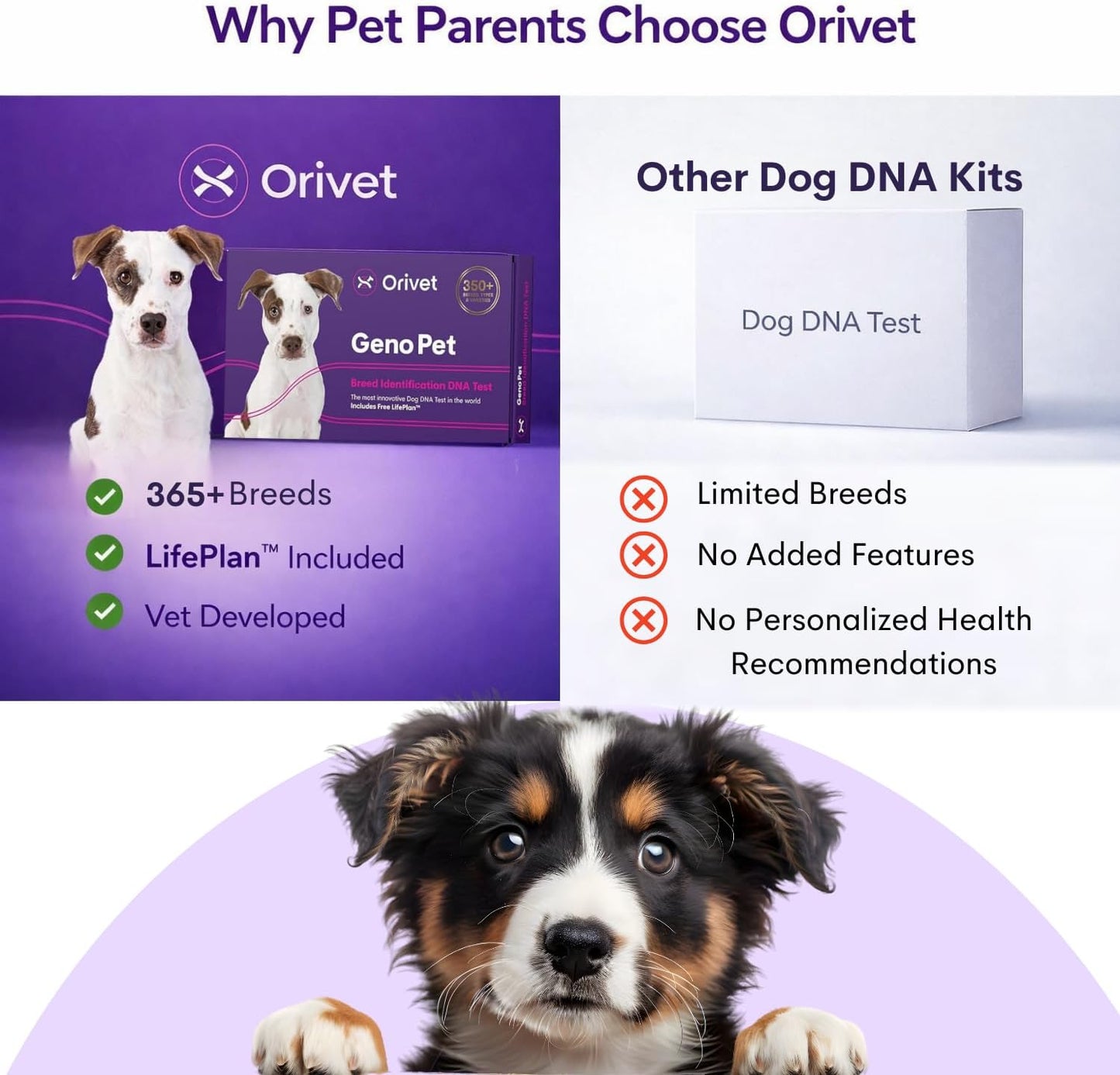 ORIVET Dog DNA Test Kit – Comprehensive Dog DNA Test Kit for Over 330+ Breed Identification
