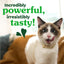 Greenies Cat Treats, Feline Veterinarian-Recommended Adult Natural Dental Cat Treats, Oven Roasted Chicken Flavor, 4.6 oz. Pouch
