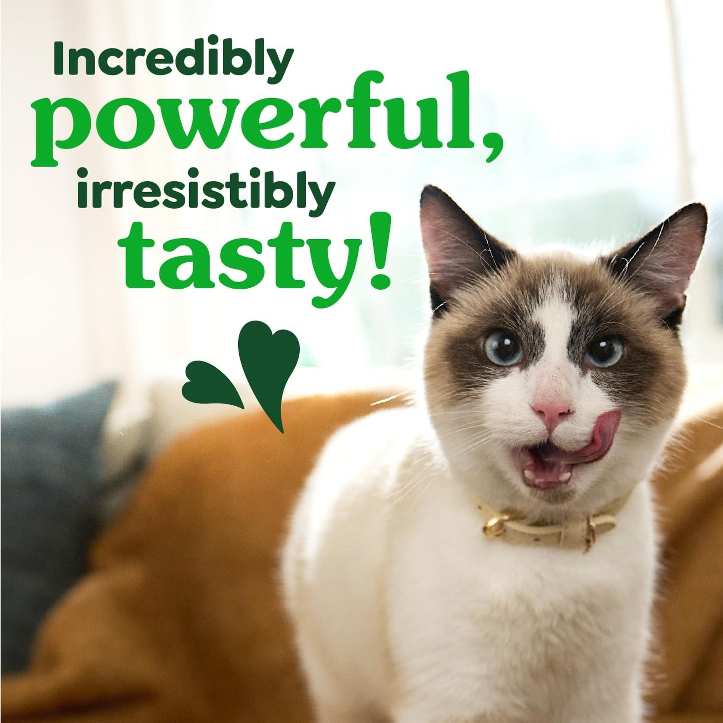 Greenies Cat Treats, Feline Veterinarian-Recommended Adult Natural Dental Cat Treats, Oven Roasted Chicken Flavor, 4.6 oz. Pouch