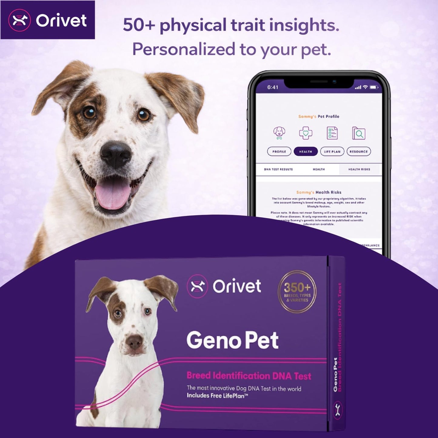 ORIVET Dog DNA Test Kit – Comprehensive Dog DNA Test Kit for Over 330+ Breed Identification