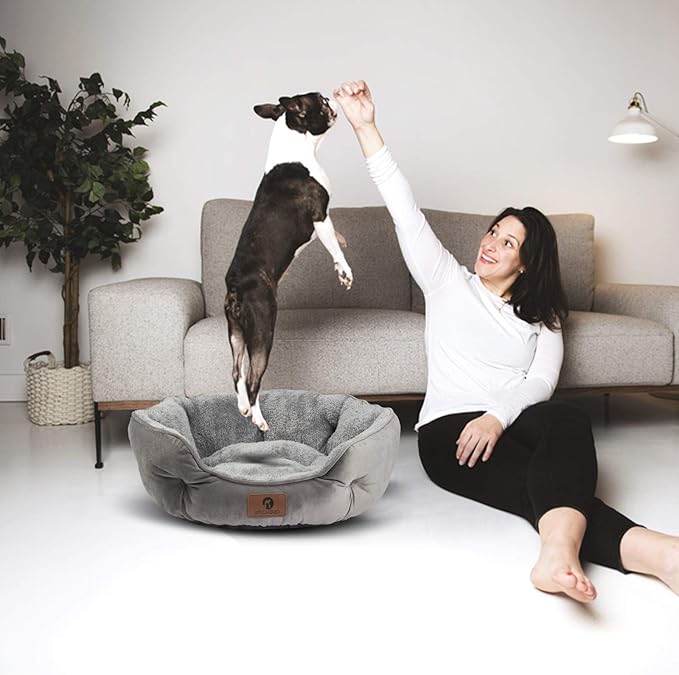 Asvin Small Dog Bed for Small Dogs, Cat Beds for Indoor Cats, Pet Bed for Puppy and Kitty