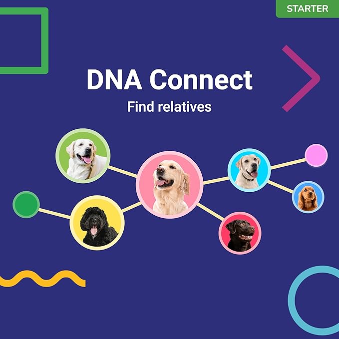 DNA Test for Dogs Starter - (Breeds and Traits Reports) - Updates at no cost