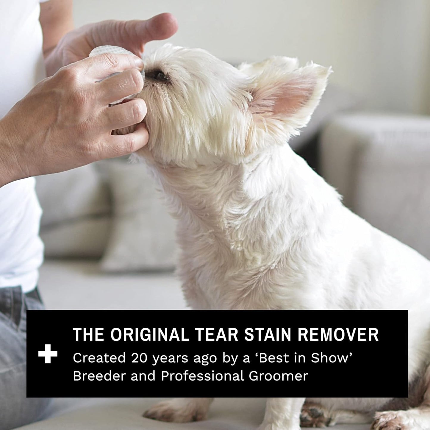 Eye Envy Dog Tear Stain Remover Starter Kit. 100% Natural, Safe. Contains: Stain Solution