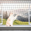 Steel Cat Netting Balcony, 10ft x 20ft Steel Reinforced Cat Wire for Balcony