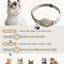 Cat Collar with Airtag Holder, Breakaway Airtag Cat Collar for Apple Air Tag with Luminous & Reflective Pattern, Waterproof GPS Cat Tracker Collars for Boy Girl Cats Kittens with Bell, Khaki (8-12")