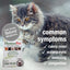 HomeoPet Feline Nose Relief, Safe and Natural Nasal and Sinus Medicine for Cats, Natural Pet Medicine, 15 Milliliters- Pack of 2
