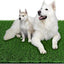 Grass Pad for Dogs 39.3 x 31.5 inches Strong Absorbency Soft Artificial Grass for Pets Potty Training, Easy to Clean Fake Grass for Dog Indoor Outdoor Use(1 Pack)
