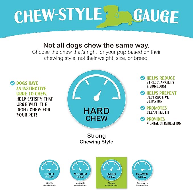 Raw Paws Camel Skin Chews for Dogs, 10-inch (10-Count)