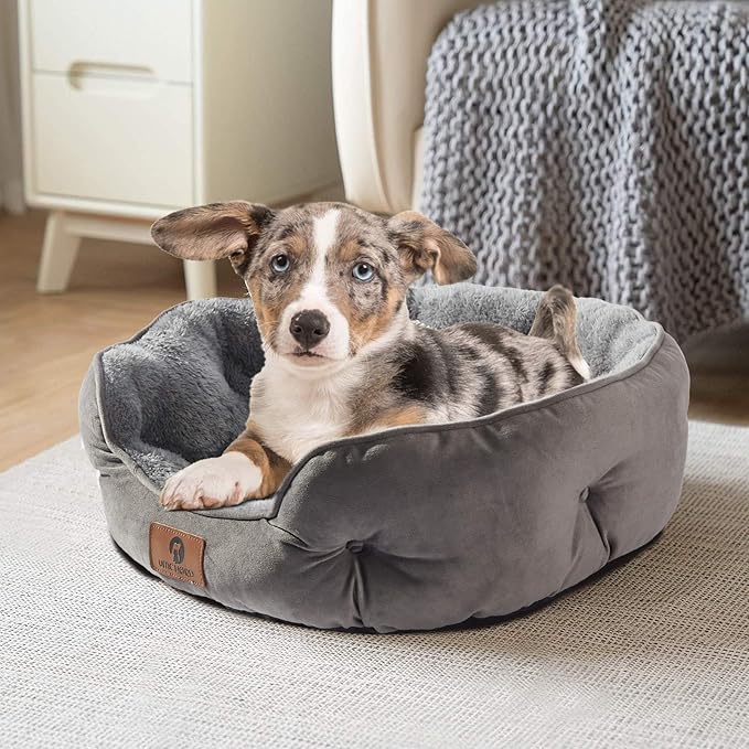 Asvin Small Dog Bed for Small Dogs, Cat Beds for Indoor Cats, Pet Bed for Puppy and Kitty