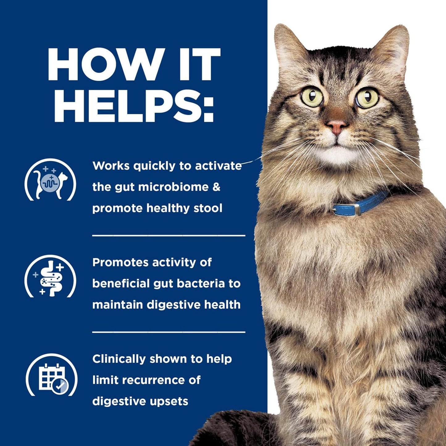 Hill's Prescription Diet Gastrointestinal Biome Stress Digestive/Fiber Care Wet Cat Food, Chicken & Vegetable Stew, 2.9 oz. Cans, 24-Pack