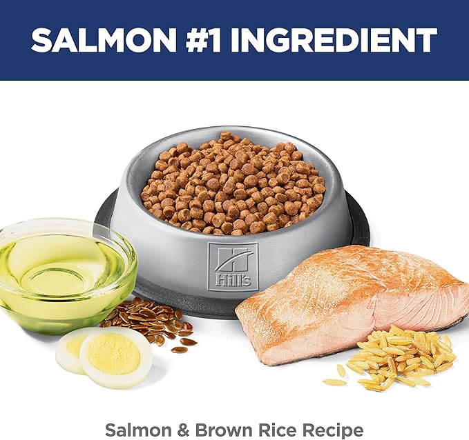 Hill's Science Diet Kitten Sensitive Stomach & Skin Dry Cat Food, Salmon & Brown Rice, 3.5 lb. Bag