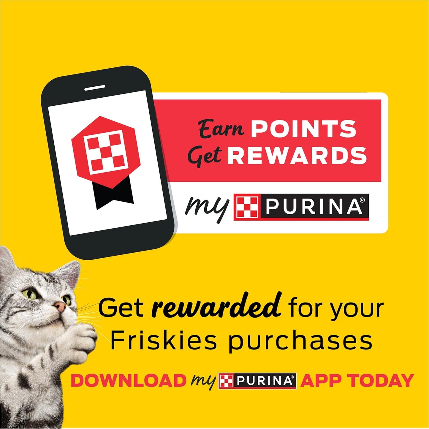 Purina Friskies Lil' Gravies Roast Beef Flavor Cat Food Complement Lickable Cat Treats - (Pack of 16) 1.55 oz. Pouches