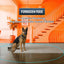 3-in-1 Radar Wireless Dog Fence System for 3 Dogs, Dog Training Collar with Fence & Forbidden Zone Modes, No GPS Indoor Outdoor Dog Containment, IPX7 Waterproof (1 Collar)
